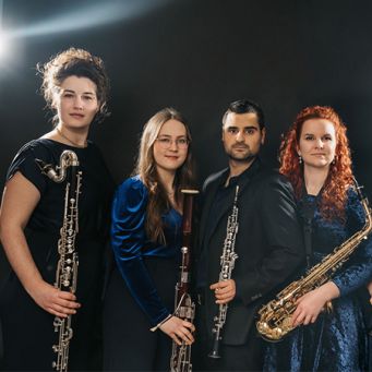 Sonus Quintett (Foto: Ida Baumann)