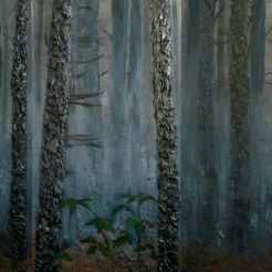 Carolina Jarmolinska – „Der Wald“