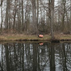 Am Ufer unterwegs mit Frühlingsgefühl (Foto: Foto: Luise Häuser)