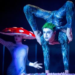 Alice – Amazing Circus Show