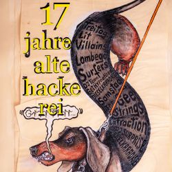 17 Jahre Alte Hackerei