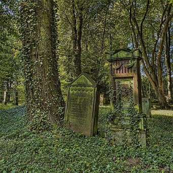 Jüdischer Friedhof auf dem Eichelberg (Foto: Henrik Fessler)