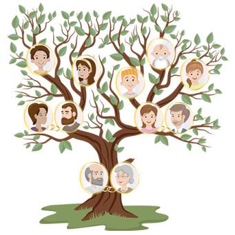 Genealogie & Ahnenforschung (Abb.: pixabay.com)