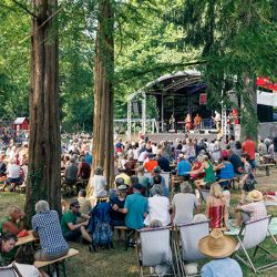 Watthalden Festival (Foto: Felix Grünschloß)