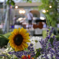 Live im Park der Villa Wieser (Foto: Helmut Dudenhöffer)