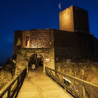 Burg Landeck (Foto: Tourismusverein SÜW Bad Bergzabern/Fabian Hahn)