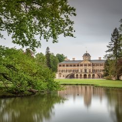 Schloss, Baum, Pilz: Favorite Rastatt (Foto: SGG/Bayerl)